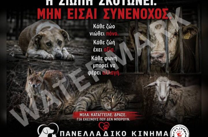 Κακοποίηση ζώων και ακτιβισμός - Η αδέσμευτη φωνή των τετράποδων