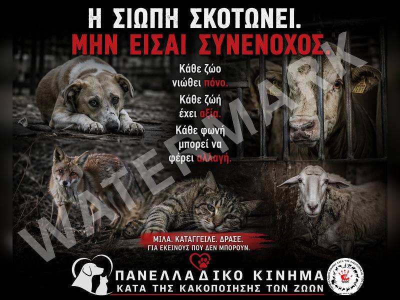 Κακοποίηση ζώων και ακτιβισμός - Η αδέσμευτη φωνή των τετράποδων