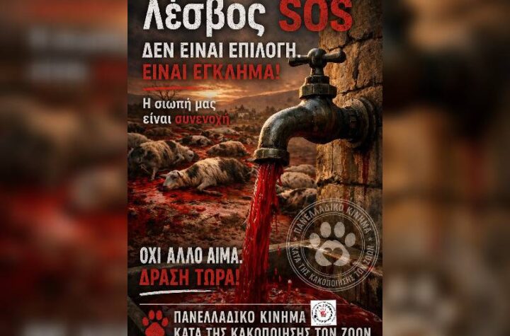 Κακοποίηση ζώων και ακτιβισμός - Η αδέσμευτη φωνή των τετράποδων