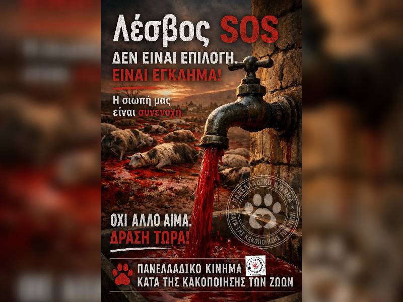 Κακοποίηση ζώων και ακτιβισμός - Η αδέσμευτη φωνή των τετράποδων