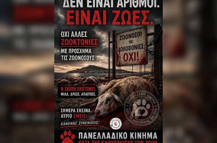 Κακοποίηση ζώων και ακτιβισμός - Η αδέσμευτη φωνή των τετράποδων