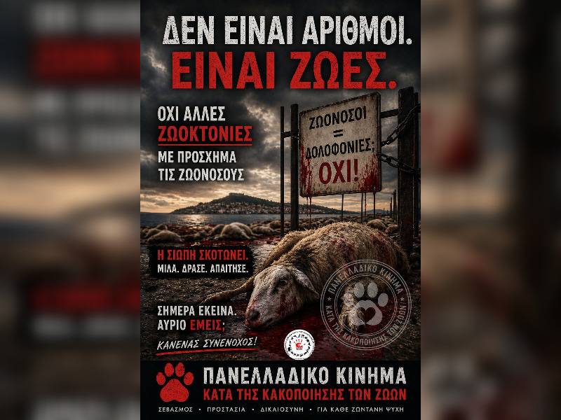 Κακοποίηση ζώων και ακτιβισμός - Η αδέσμευτη φωνή των τετράποδων