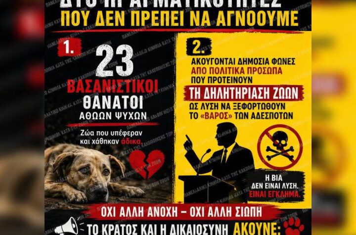Κακοποίηση ζώων και ακτιβισμός - Η αδέσμευτη φωνή των τετράποδων