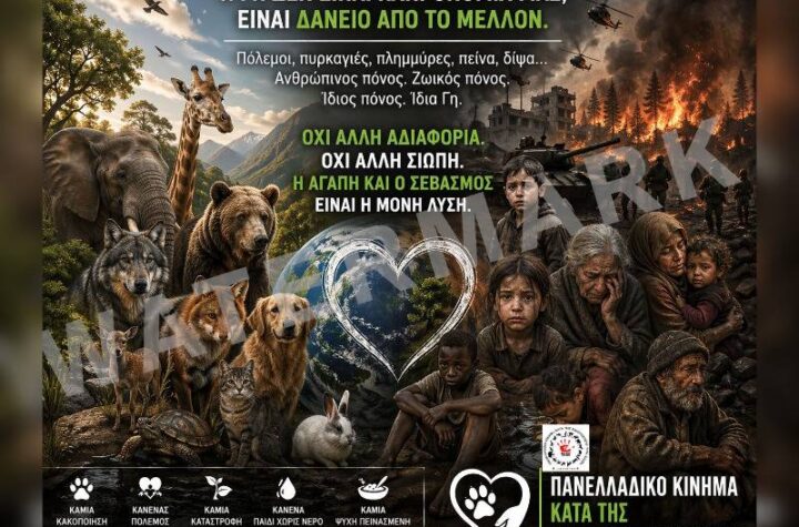 Κακοποίηση ζώων και ακτιβισμός - Η αδέσμευτη φωνή των τετράποδων