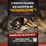 Κακοποίηση ζώων και ακτιβισμός - Η αδέσμευτη φωνή των τετράποδων