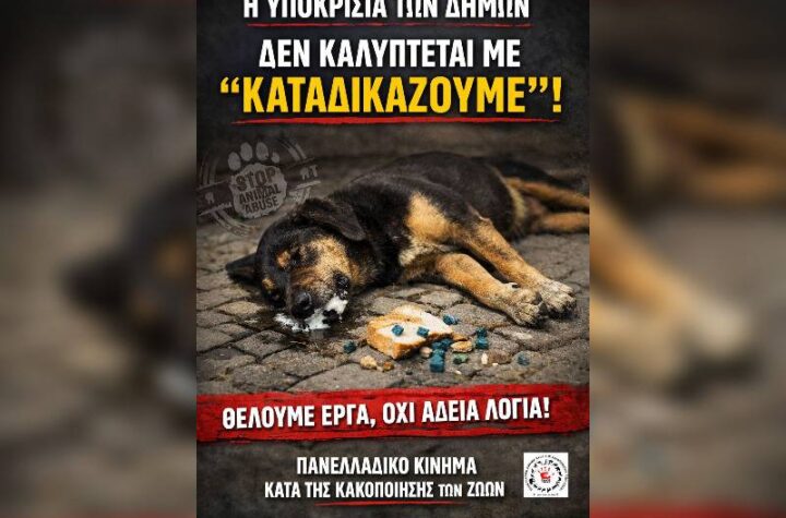 Κακοποίηση ζώων και ακτιβισμός - Η αδέσμευτη φωνή των τετράποδων