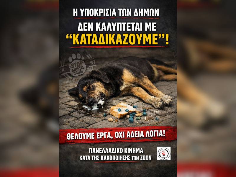 Κακοποίηση ζώων και ακτιβισμός - Η αδέσμευτη φωνή των τετράποδων