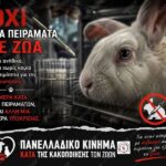 Κακοποίηση ζώων και ακτιβισμός - Η αδέσμευτη φωνή των τετράποδων