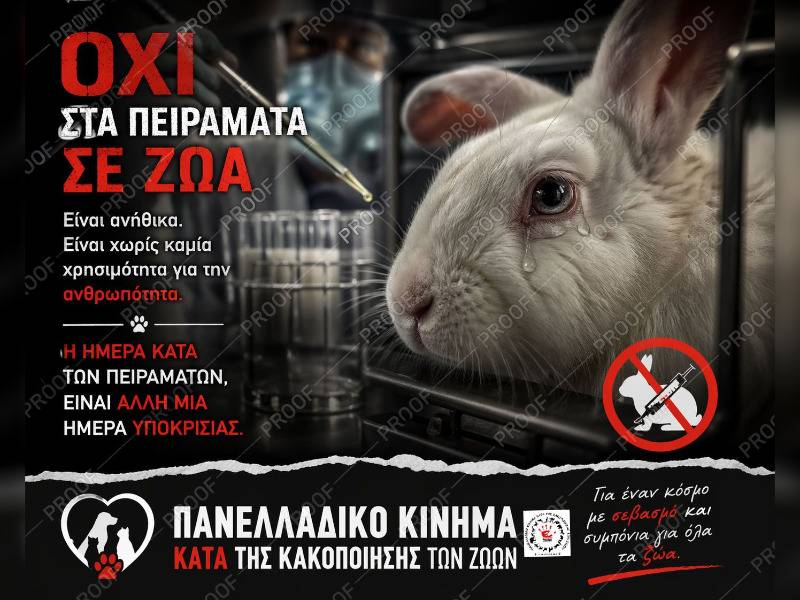 Κακοποίηση ζώων και ακτιβισμός - Η αδέσμευτη φωνή των τετράποδων