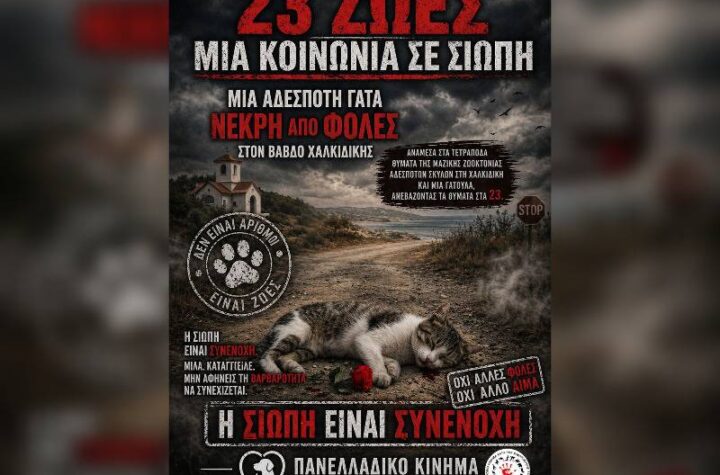 Κακοποίηση ζώων και ακτιβισμός - Η αδέσμευτη φωνή των τετράποδων