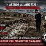Κακοποίηση ζώων και ακτιβισμός - Η αδέσμευτη φωνή των τετράποδων