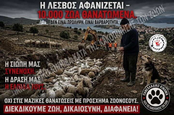 Κακοποίηση ζώων και ακτιβισμός - Η αδέσμευτη φωνή των τετράποδων