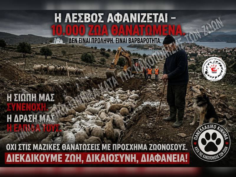 Κακοποίηση ζώων και ακτιβισμός - Η αδέσμευτη φωνή των τετράποδων