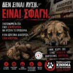 Κακοποίηση ζώων και ακτιβισμός - Η αδέσμευτη φωνή των τετράποδων