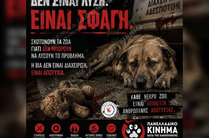 Κακοποίηση ζώων και ακτιβισμός - Η αδέσμευτη φωνή των τετράποδων