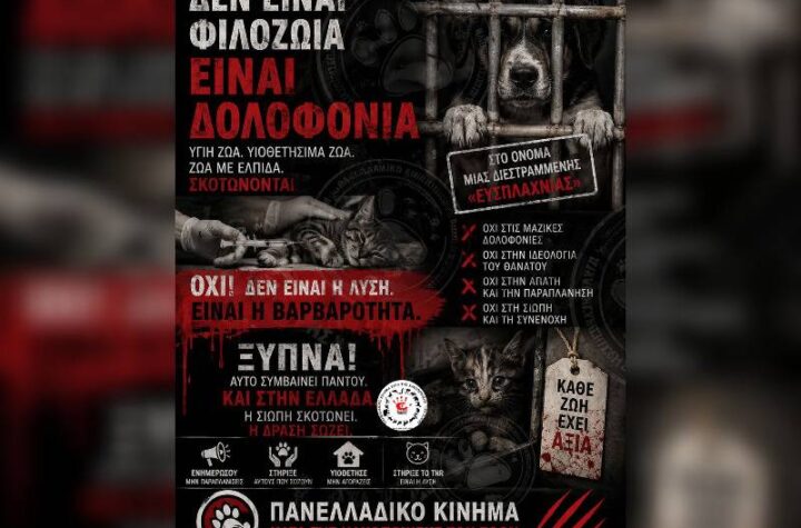 Κακοποίηση ζώων και ακτιβισμός - Η αδέσμευτη φωνή των τετράποδων