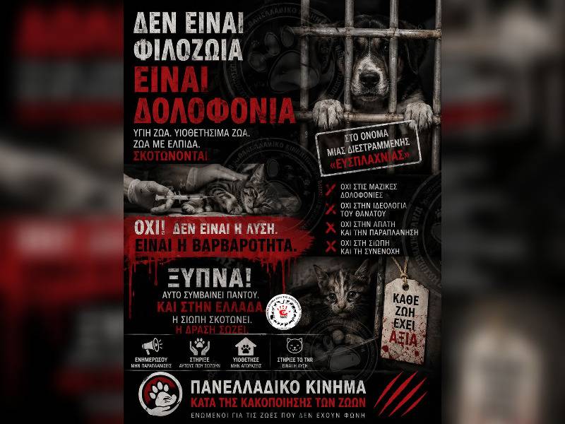 Κακοποίηση ζώων και ακτιβισμός - Η αδέσμευτη φωνή των τετράποδων