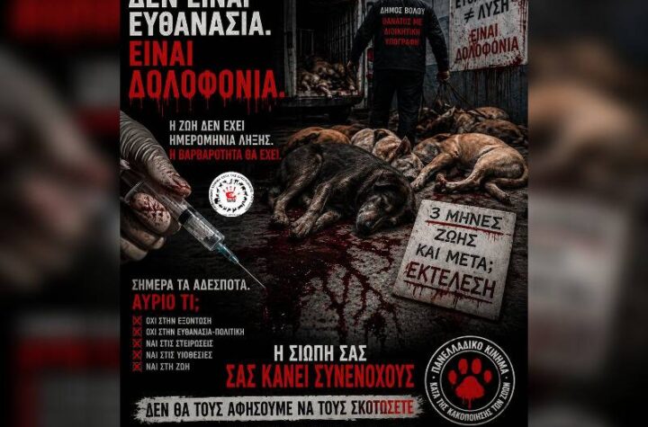 Κακοποίηση ζώων και ακτιβισμός - Η αδέσμευτη φωνή των τετράποδων