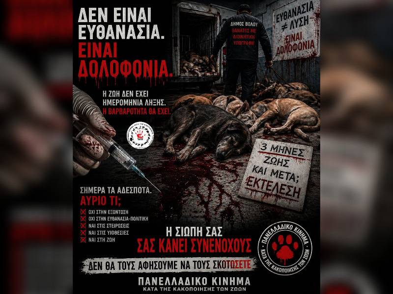 Κακοποίηση ζώων και ακτιβισμός - Η αδέσμευτη φωνή των τετράποδων
