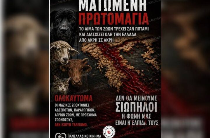 Κακοποίηση ζώων και ακτιβισμός - Η αδέσμευτη φωνή των τετράποδων