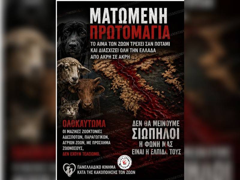 Κακοποίηση ζώων και ακτιβισμός - Η αδέσμευτη φωνή των τετράποδων