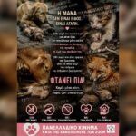 Η Μανα Που Περιμενει Και Το Μωρο Που Δεν Θα Ξαναγυρισει