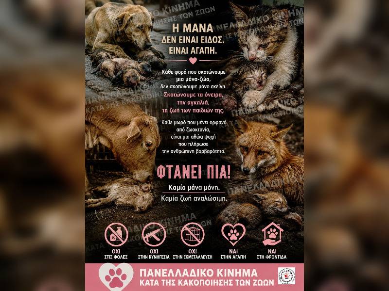 Κακοποίηση ζώων και ακτιβισμός - Η αδέσμευτη φωνή των τετράποδων