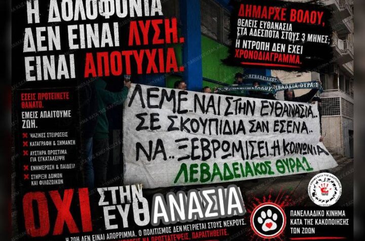 Κακοποίηση ζώων και ακτιβισμός - Η αδέσμευτη φωνή των τετράποδων