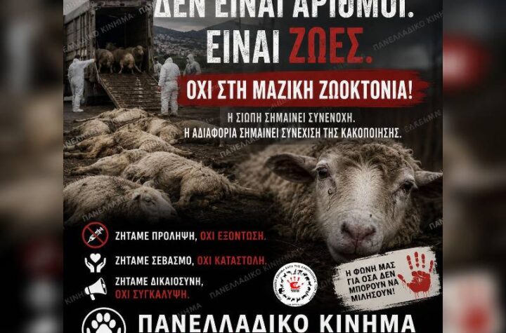 Κακοποίηση ζώων και ακτιβισμός - Η αδέσμευτη φωνή των τετράποδων