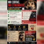 Κακοποίηση ζώων και ακτιβισμός - Η αδέσμευτη φωνή των τετράποδων