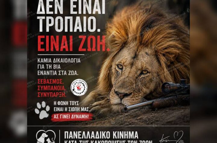 Κακοποίηση ζώων και ακτιβισμός - Η αδέσμευτη φωνή των τετράποδων