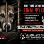 Η βία δεν γεννιέται μόνη της. Τρέφεται από τη σιωπή και την υποκρισία