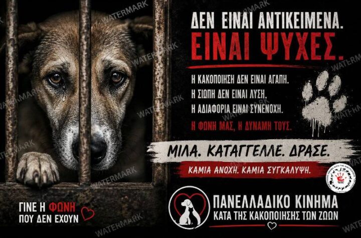 Κακοποίηση ζώων και ακτιβισμός - Η αδέσμευτη φωνή των τετράποδων