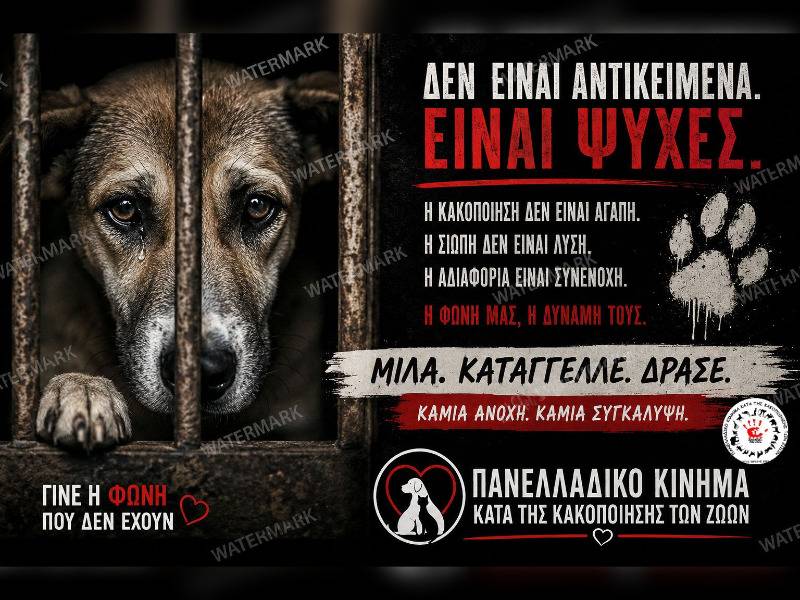 Κακοποίηση ζώων και ακτιβισμός - Η αδέσμευτη φωνή των τετράποδων