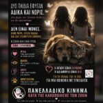 Κακοποίηση ζώων και ακτιβισμός - Η αδέσμευτη φωνή των τετράποδων