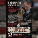Η υποκρισία δεν σώζει ζωές. Τα αδέσποτα δεν είναι εργαλείο δημοσίων σχέσεων