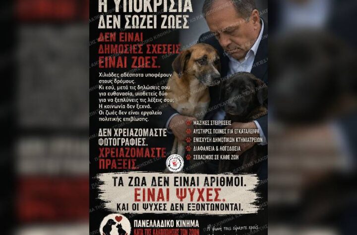 Κακοποίηση ζώων και ακτιβισμός - Η αδέσμευτη φωνή των τετράποδων