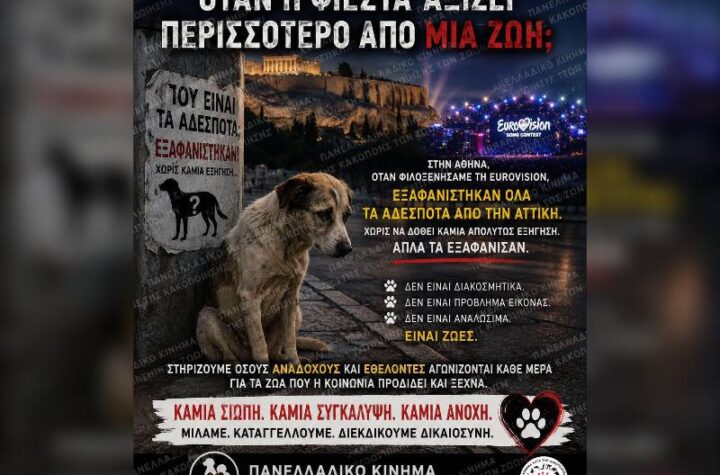 Κακοποίηση ζώων και ακτιβισμός - Η αδέσμευτη φωνή των τετράποδων