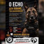 Ο Echo δεν εφυγε έτσι απλά από τη ζωή. Τον δολοφόνησαν