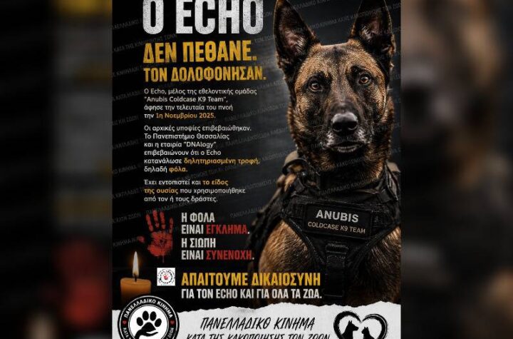 Κακοποίηση ζώων και ακτιβισμός - Η αδέσμευτη φωνή των τετράποδων