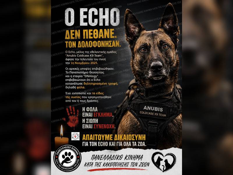 Κακοποίηση ζώων και ακτιβισμός - Η αδέσμευτη φωνή των τετράποδων