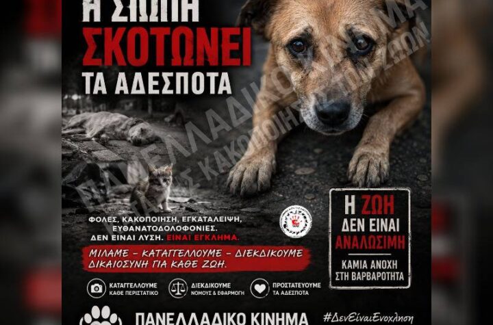 Κακοποίηση ζώων και ακτιβισμός - Η αδέσμευτη φωνή των τετράποδων