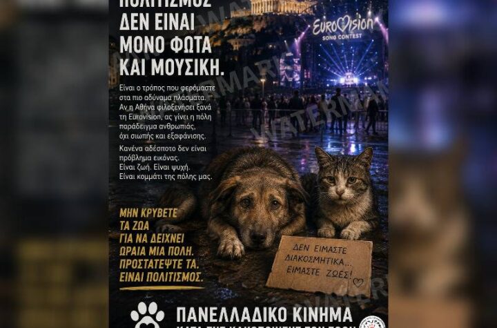 Κακοποίηση ζώων και ακτιβισμός - Η αδέσμευτη φωνή των τετράποδων