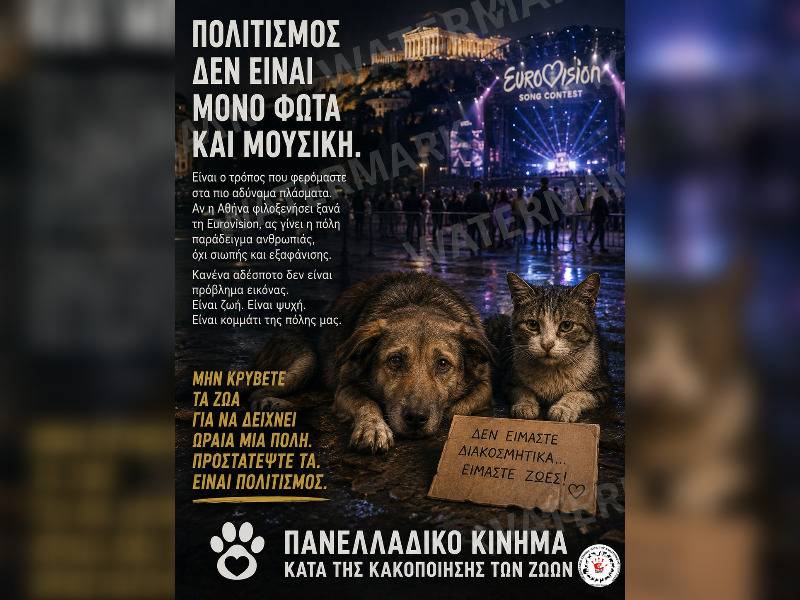 Κακοποίηση ζώων και ακτιβισμός - Η αδέσμευτη φωνή των τετράποδων