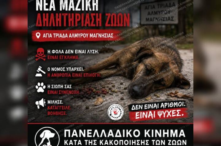 Κακοποίηση ζώων και ακτιβισμός - Η αδέσμευτη φωνή των τετράποδων