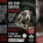Κακοποίηση ζώων και ακτιβισμός - Η αδέσμευτη φωνή των τετράποδων