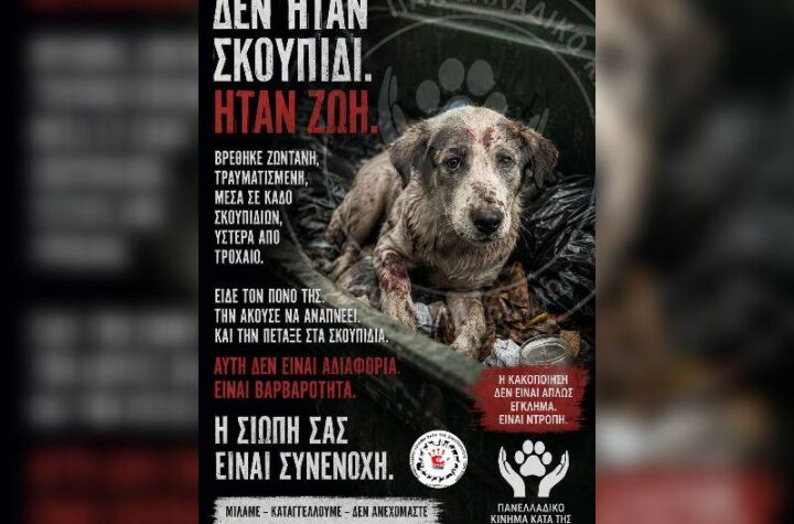 Κακοποίηση ζώων και ακτιβισμός - Η αδέσμευτη φωνή των τετράποδων