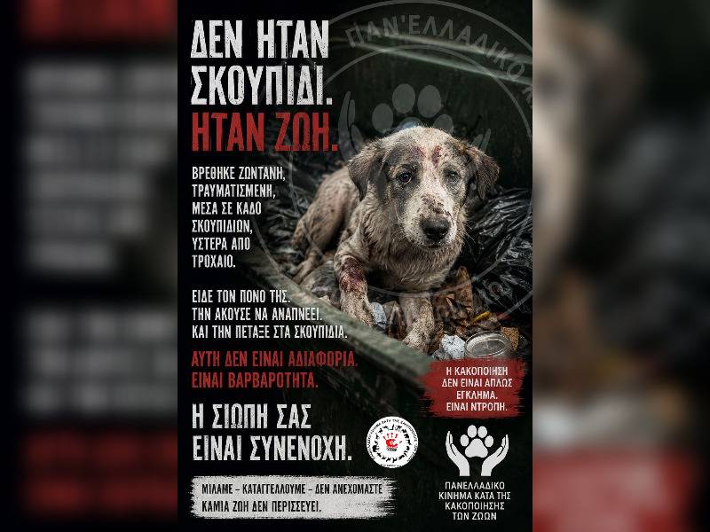 Κακοποίηση ζώων και ακτιβισμός - Η αδέσμευτη φωνή των τετράποδων