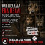 Κακοποίηση ζώων και ακτιβισμός - Η αδέσμευτη φωνή των τετράποδων