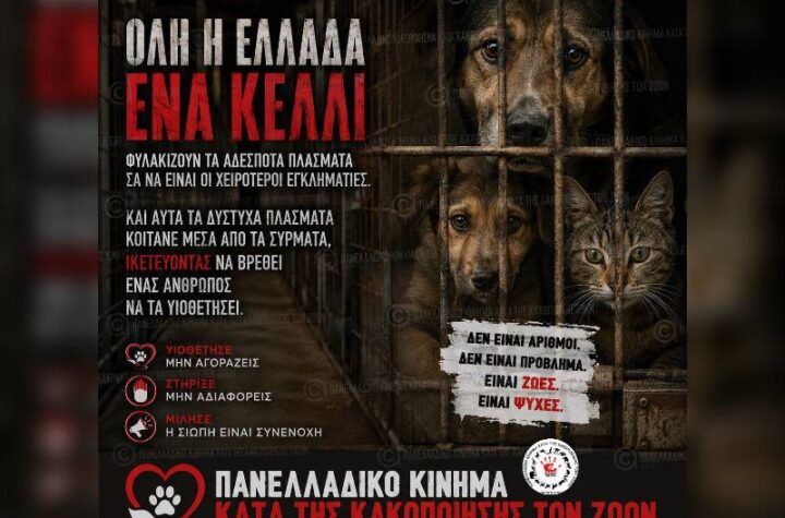 Κακοποίηση ζώων και ακτιβισμός - Η αδέσμευτη φωνή των τετράποδων
